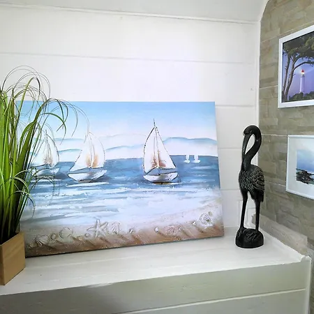 Ferienwohnungen/Ferienzimmer Seidel Zingst Extérieur photo