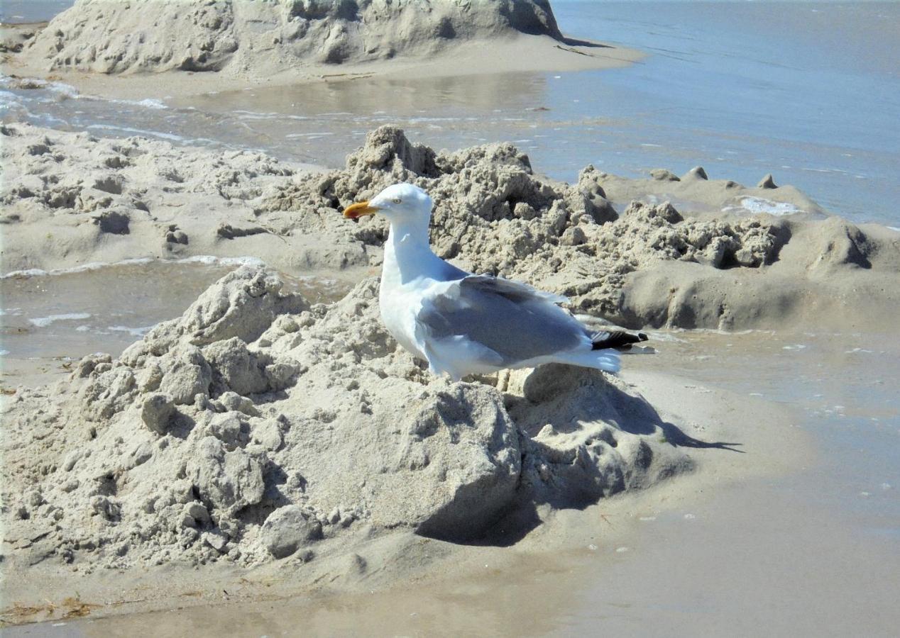 Ferienwohnungen/ferienzimmer Seidel Zingst